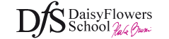 Corsi Daisy Flowers School